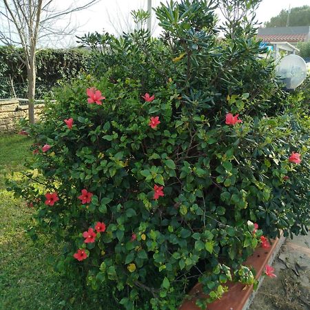 סירקוזה Holiday Home Riserva Marina Protetta מראה חיצוני תמונה