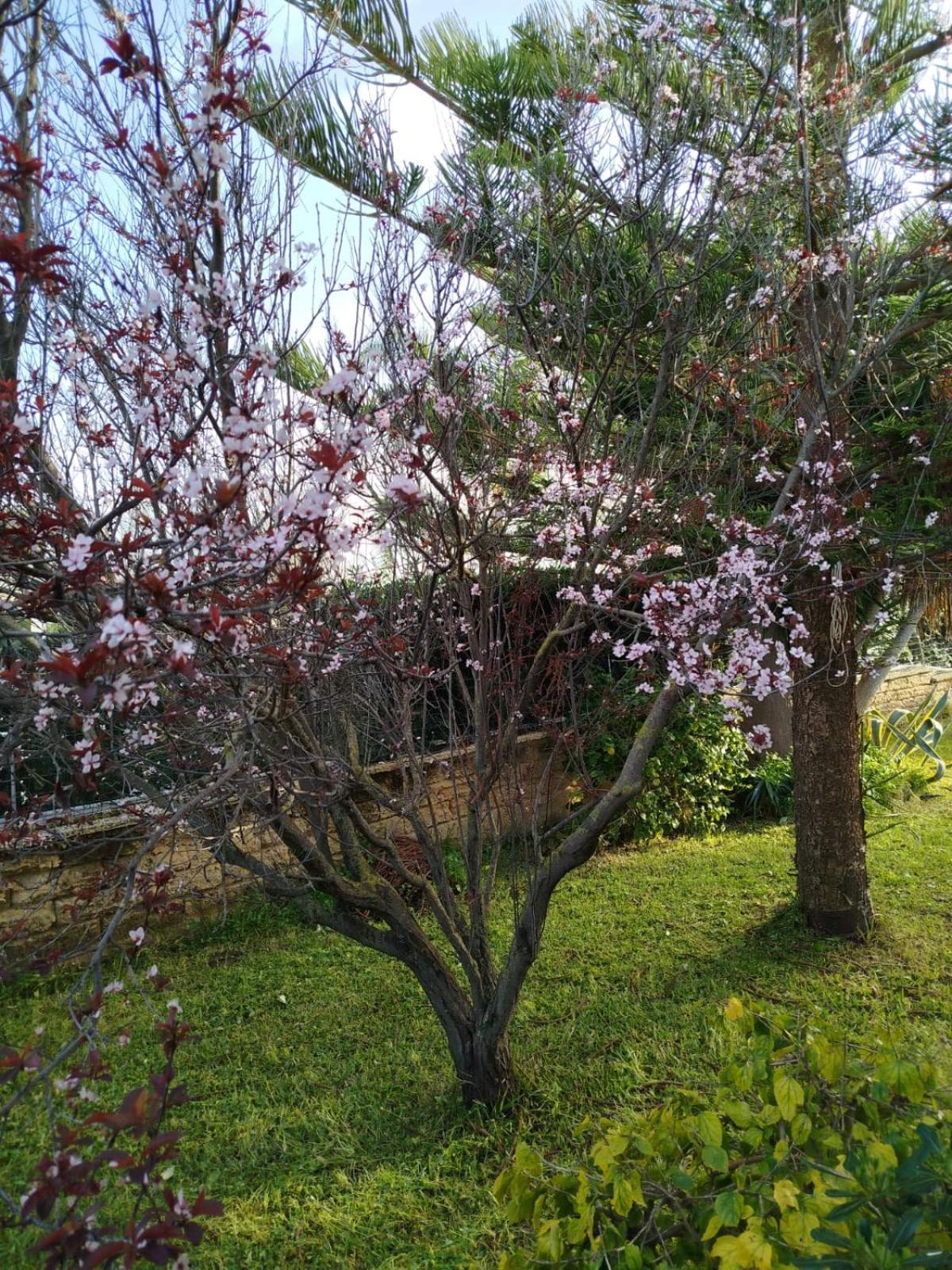 סירקוזה Holiday Home Riserva Marina Protetta מראה חיצוני תמונה